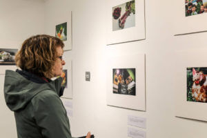Attendee viewing the shortlisted photographs on the wall